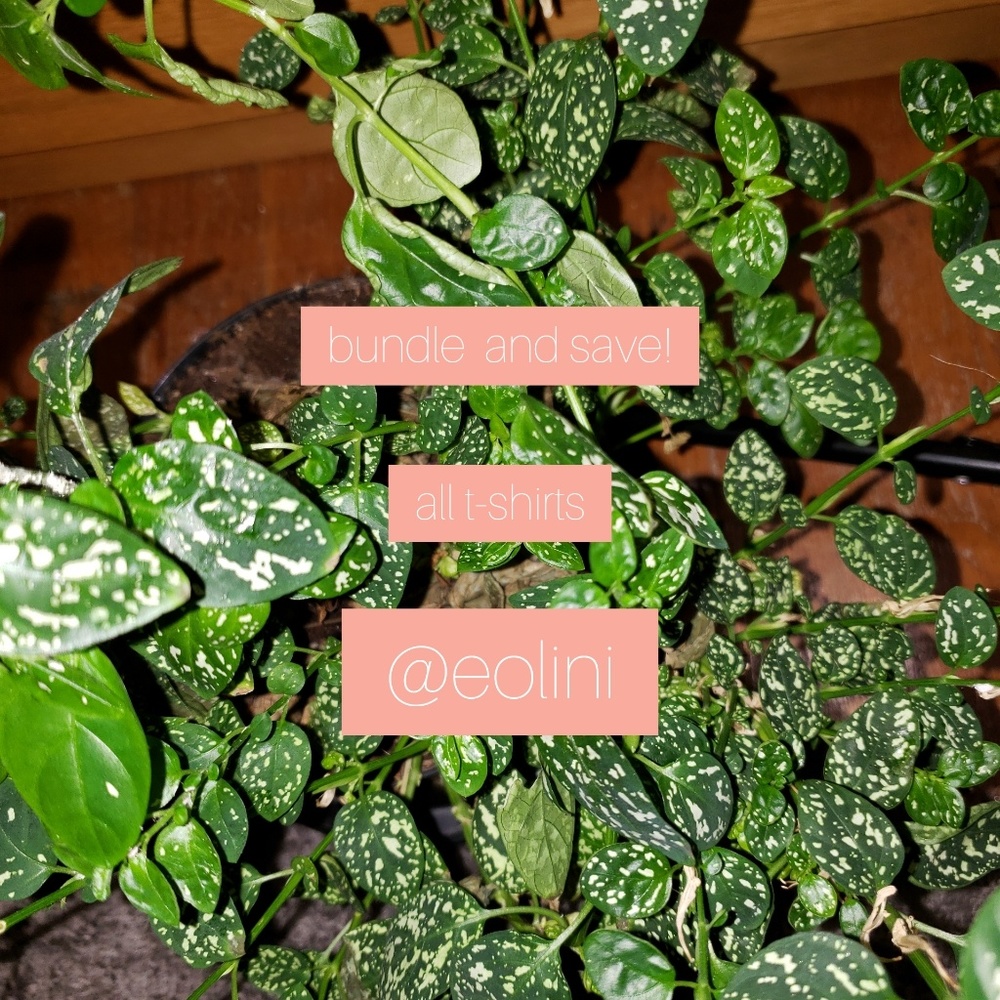 please buy my shirts